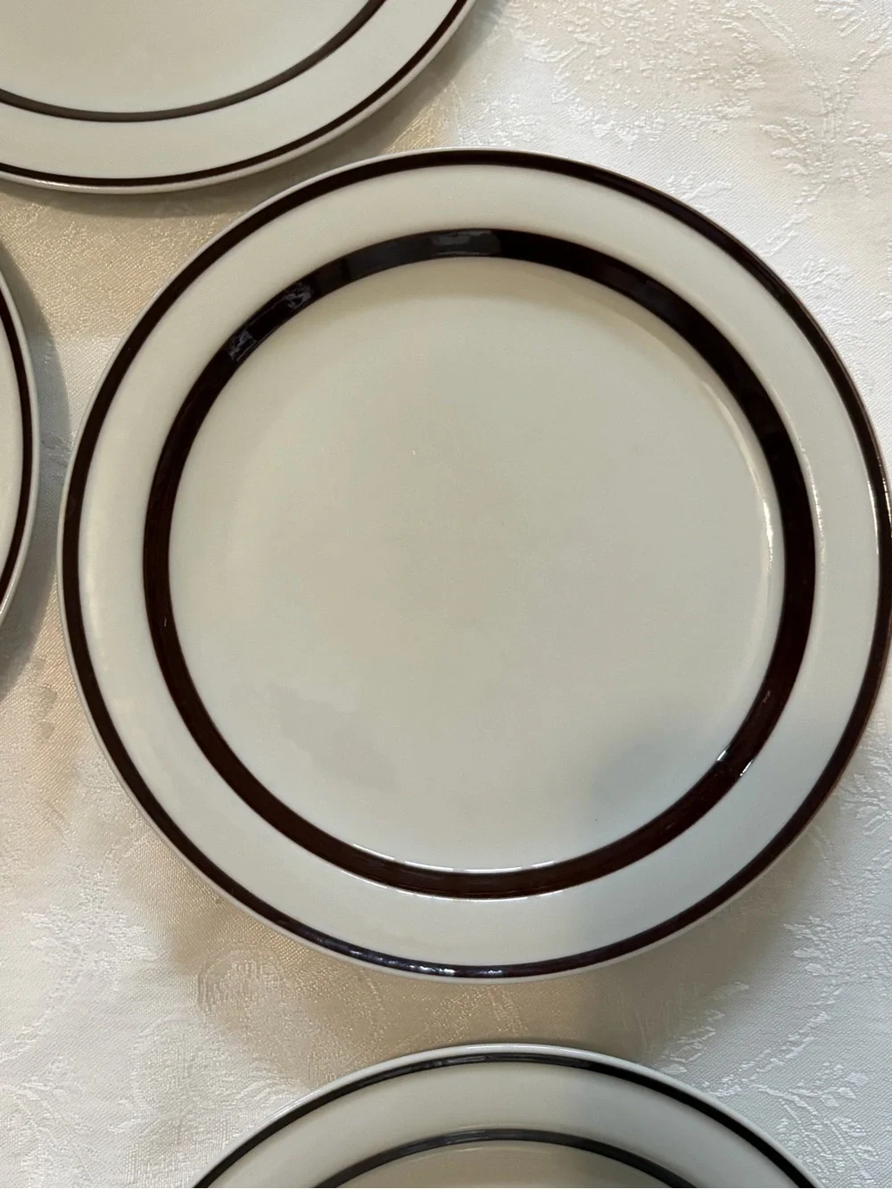 Orbit Stoneware Cream Dinner Plates Brown 221 with Double Rim